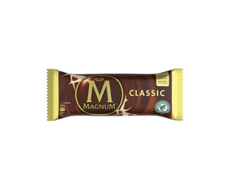 Paleta Holanda Magnum Clásica 100ml. Discount