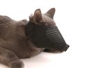 Muzzles Mesh Cat  - Medium Cheap