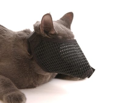 Muzzles Mesh Cat  - Medium Cheap