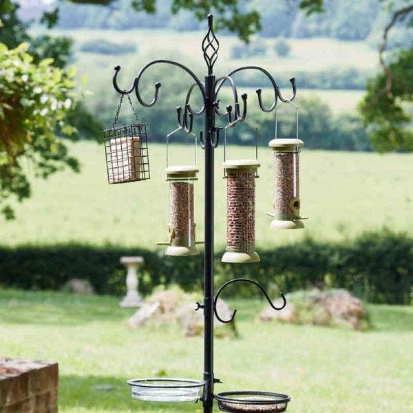 Chapelwood Complete Bird Feed Dining Station - Black Cheap