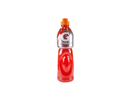 Gatorade Sabor Ponche 600ml. Hot on Sale