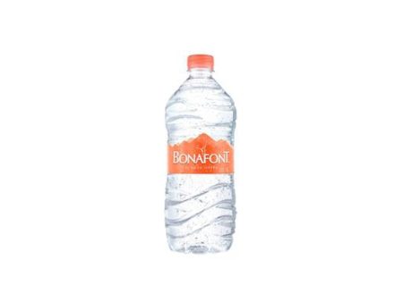 Agua Natural 1 Lt Bonafont Online