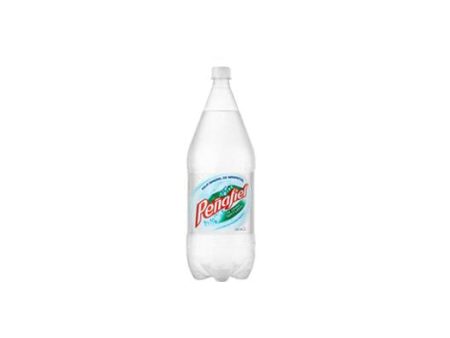 Peñafiel Agua Mineral 2 Lt Discount